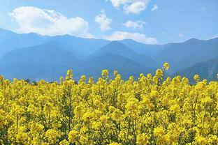 什么级别？科比-怀特近五战场均26分6.4板5.6助 三分命中率54%